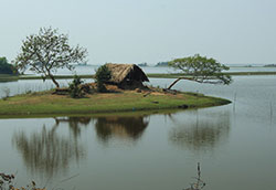Озеро Чилика, Индия.
Chilika Lake, India